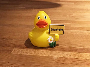 Bächle-Ente